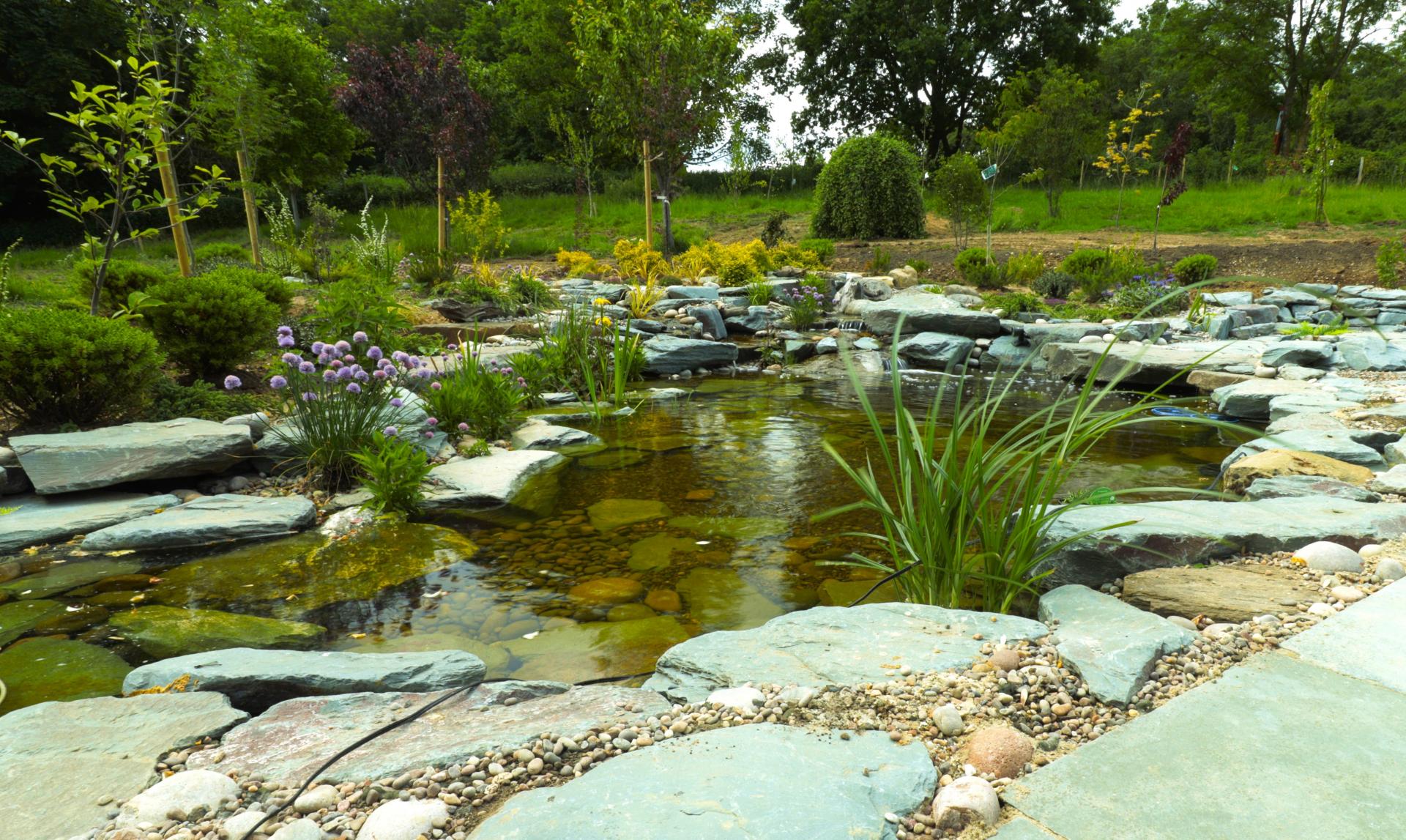 Crystal Clear Ponds Inspired by nature
