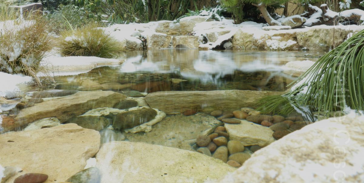 Even in the depths of winter a pond is a gem among the gloom  - Landscaping and Water Features -  Creative Cascades