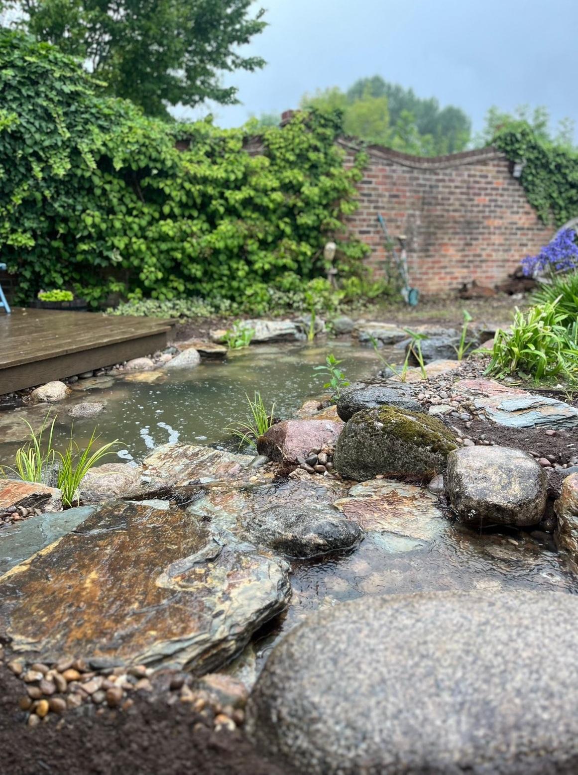 An atmospheric shot mid rain storm of a new pond build with lovely mossy rocks and a wildlife area  - Landscaping and Water Features -  Creative Cascades