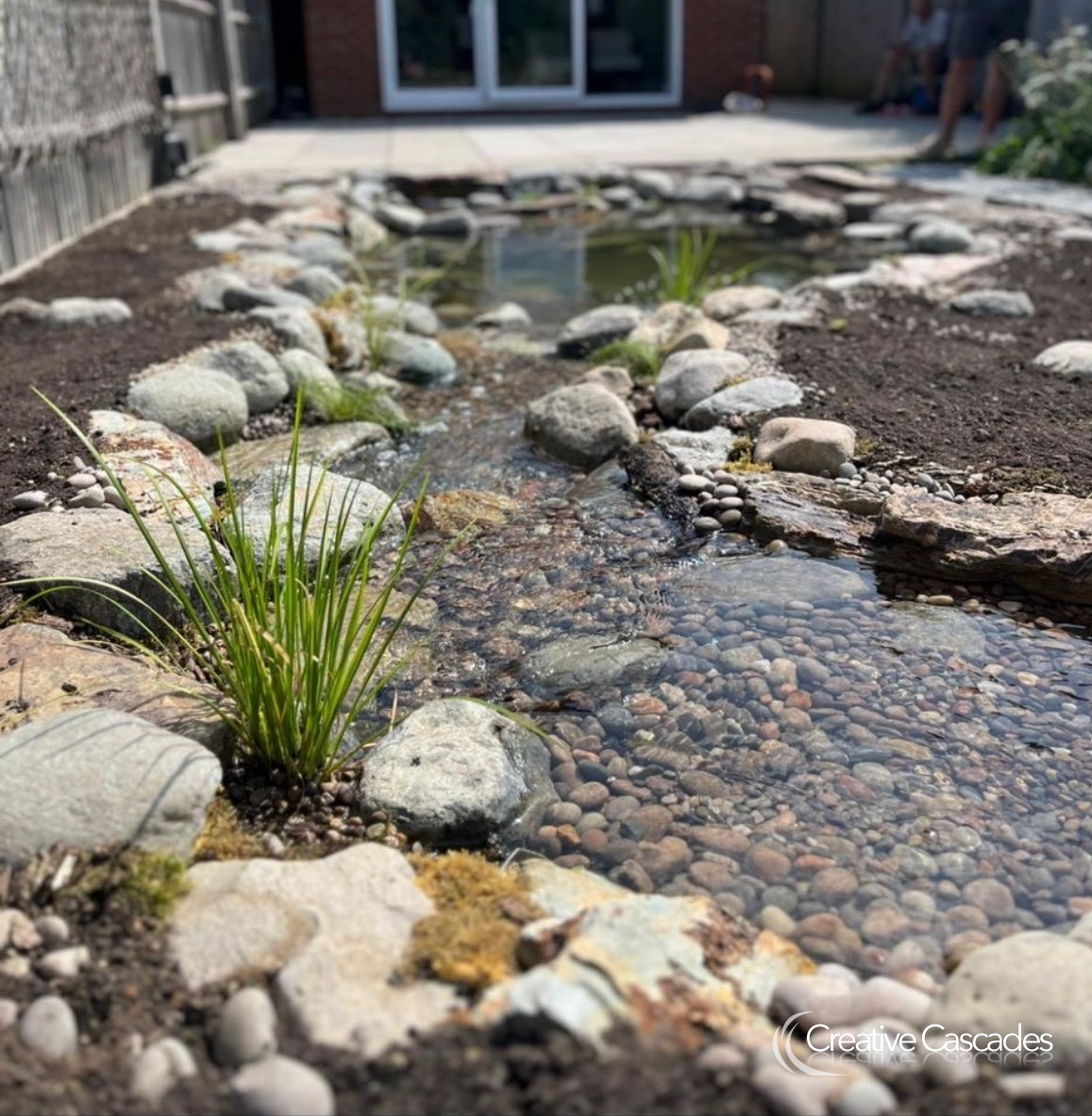 One our ecosystem ponds - built August 2025  - Landscaping and Water Features -  Creative Cascades