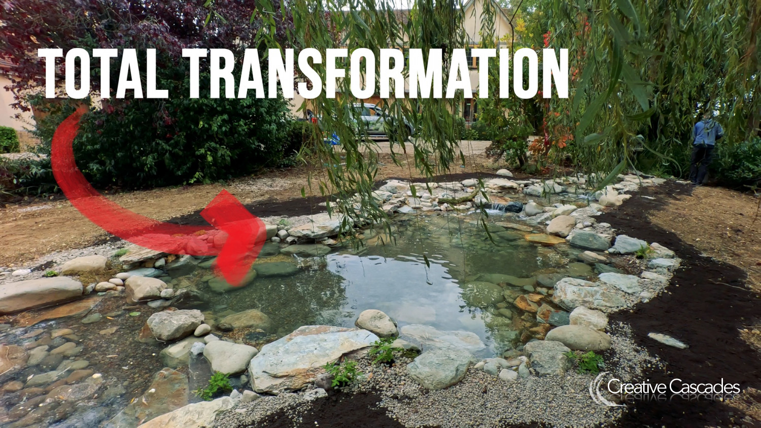 From sludge pit to thriving clear water ecosystem.  - Landscaping and Water Features -  Creative Cascades