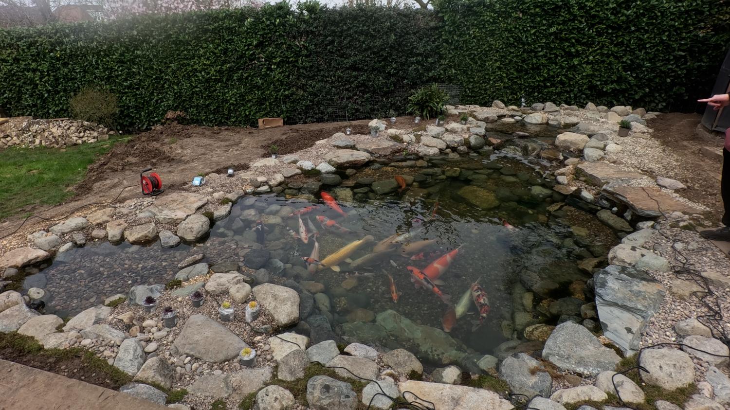 Koi Pond - built spring 2026  - Landscaping and Water Features -  Creative Cascades
