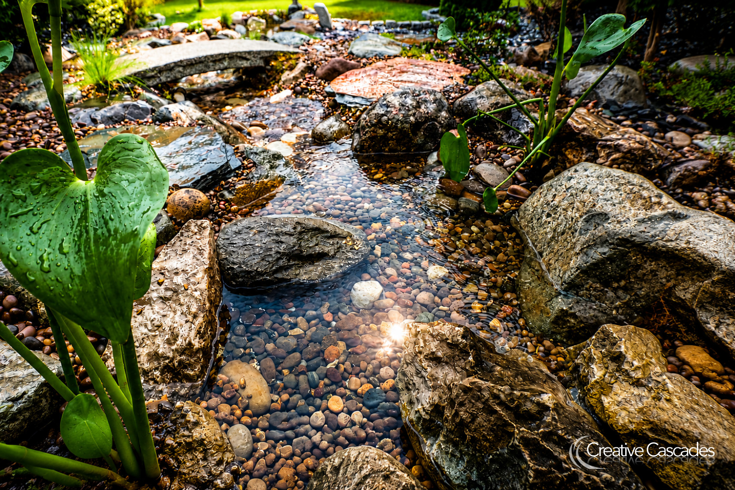 Lovely close up from a stream, built June 2026  - Landscaping and Water Features -  Creative Cascades