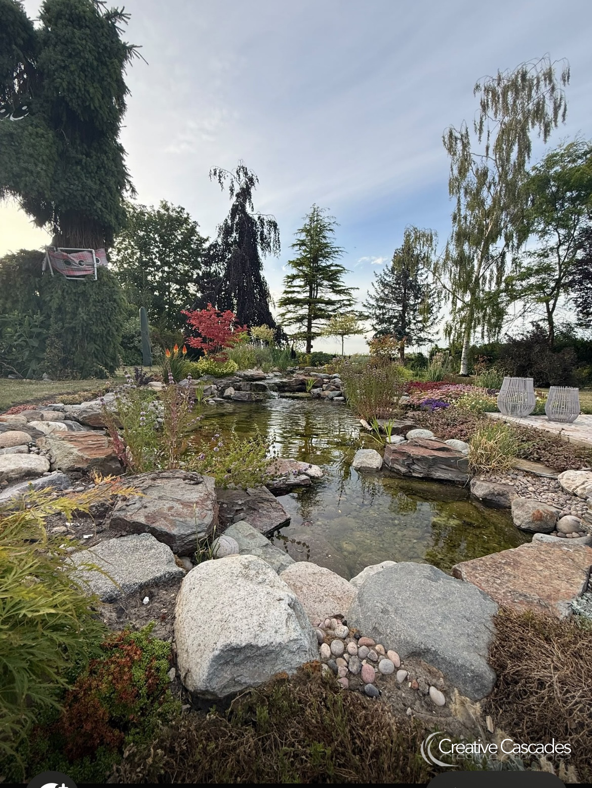 An ecosystem pond we built in 2024  - Landscaping and Water Features -  Creative Cascades