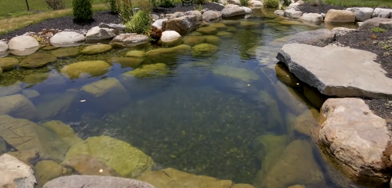 SWIM POND 1 PNG